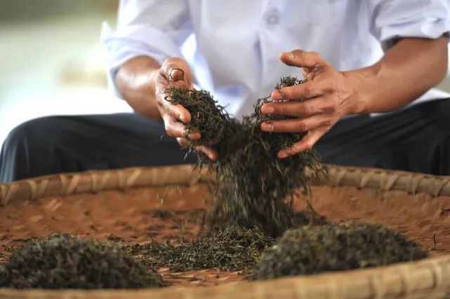 关于36名选手在2022年贵州技能大赛——“石阡苔茶杯”第十一届手工制茶技能大赛中获奖的内容(5)