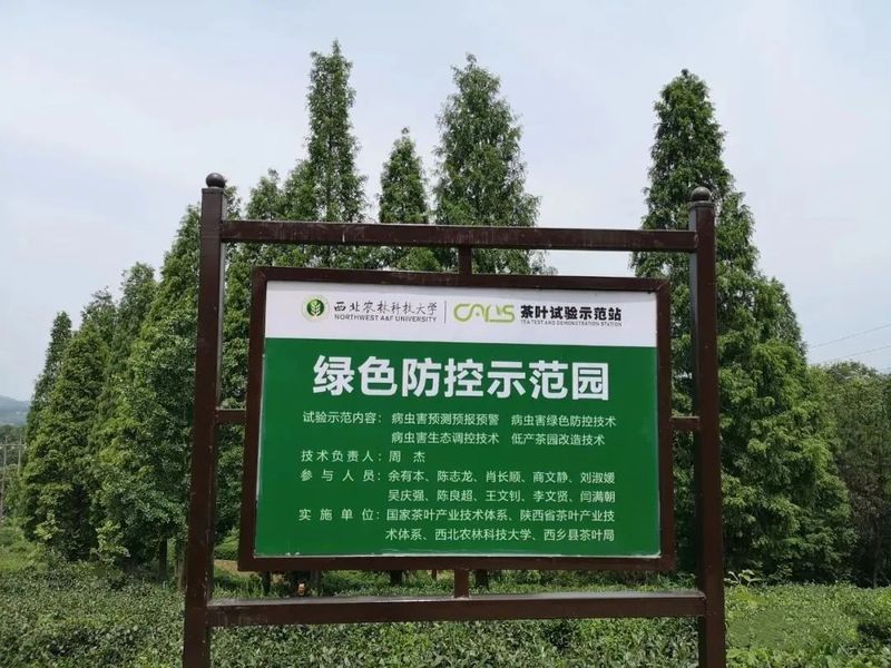 有关于汉中市茶业发展中心到西乡县深入开展“进知解”活动的相关信息(3)