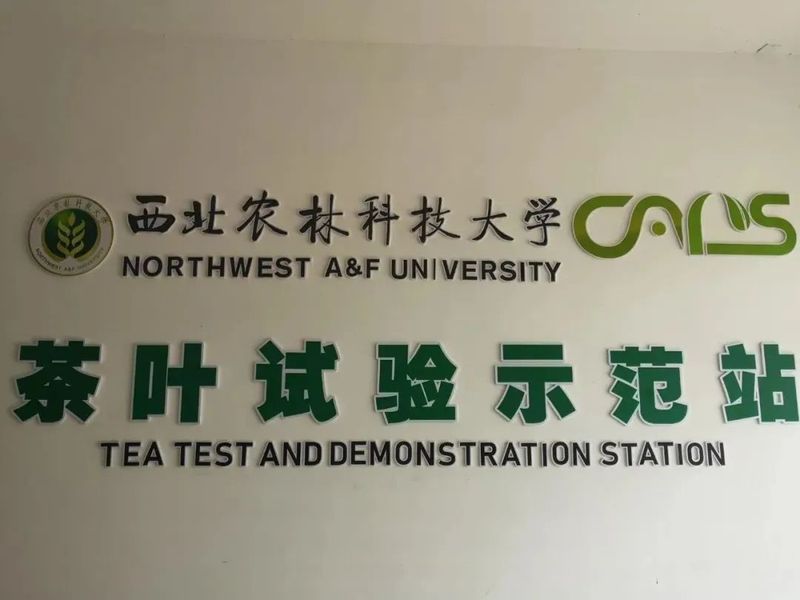 有关于汉中市茶业发展中心到西乡县深入开展“进知解”活动的相关信息(1)