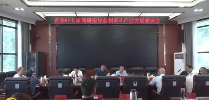 有关于省茶叶专家调研指导慈利县茶叶产业发展的资讯
