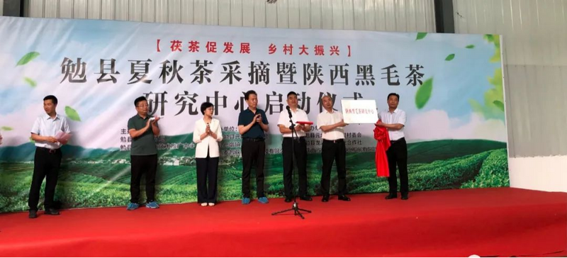 有关于元墩镇水碓村:“茶产业”铺就“致富路”的资讯(1)
