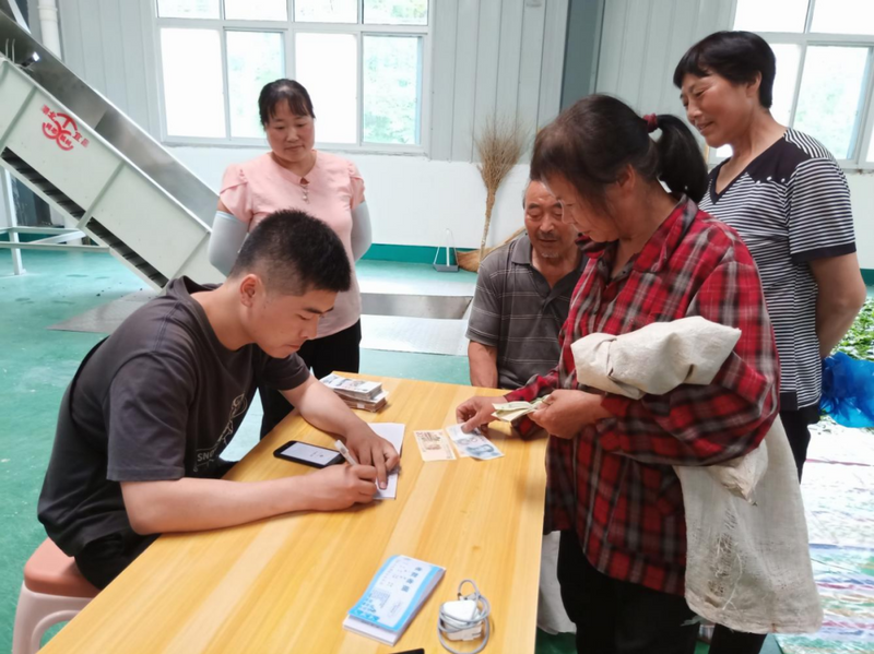 有关于元墩镇水碓村:“茶产业”铺就“致富路”的资讯