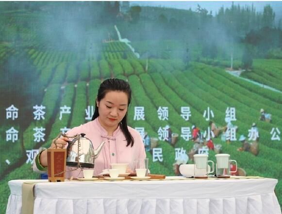 关于第14届贵州茶产业博览会贵阳市分会场活动在观山湖区正式启动的信息(5)