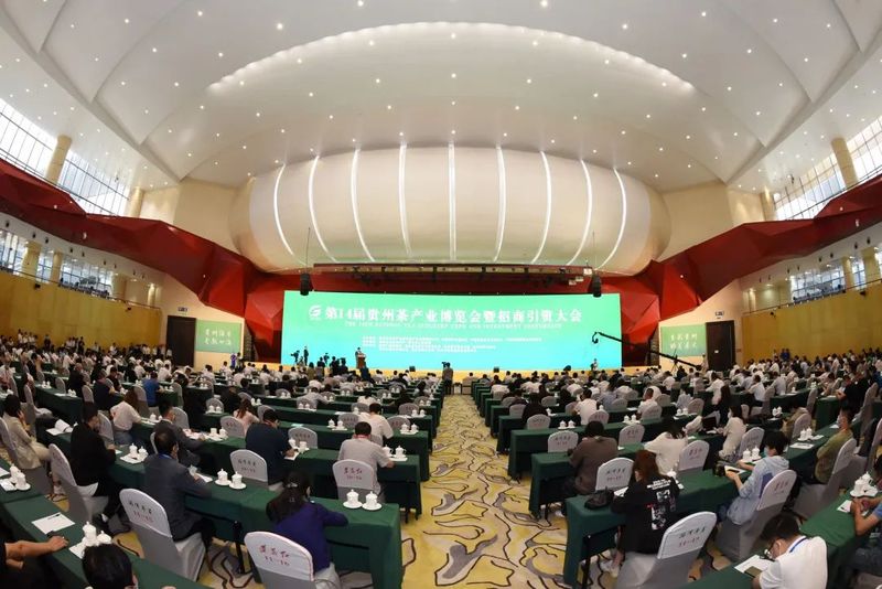 有关于干净黔茶·全球共享：第14届茶博会分会场集锦的内容