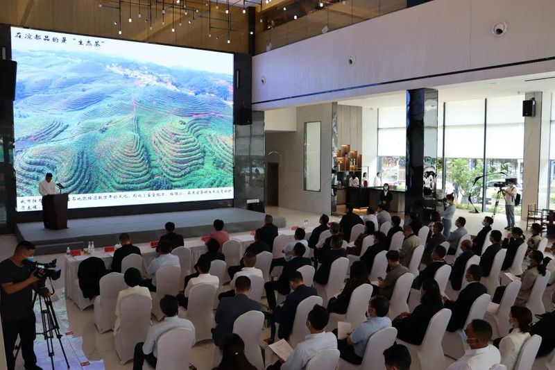 有关于干净黔茶·全球共享：第14届茶博会分会场集锦的内容(13)