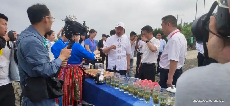 有关于干净黔茶·全球共享：第14届茶博会分会场集锦的内容(9)