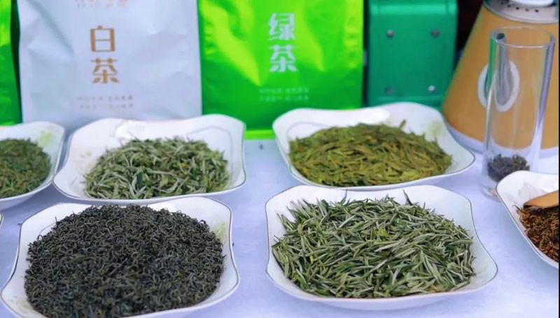 关于第14届贵州茶产业博览会六盘水分会场活动举行的内容(3)
