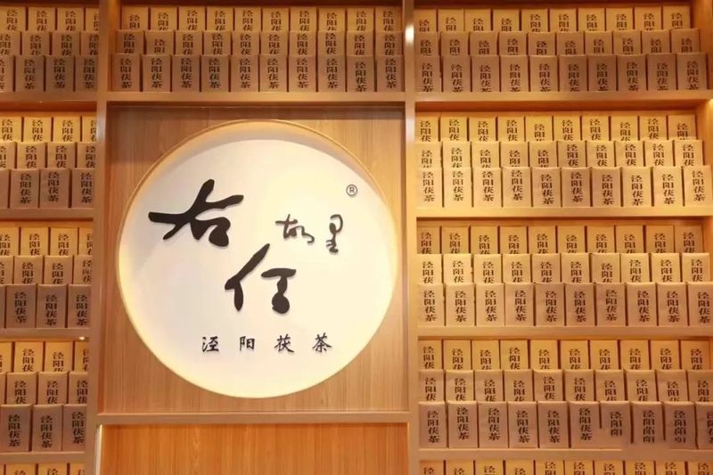 有关于平利县供销社组织考察“泾阳茯茶”产业的相关信息(14)