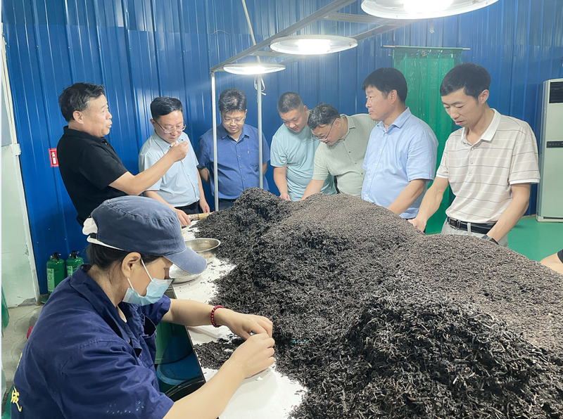 有关于平利县供销社组织考察“泾阳茯茶”产业的相关信息(10)