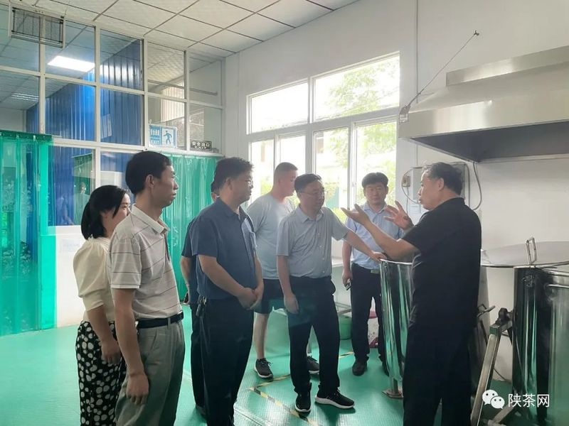 有关于平利县供销社组织考察“泾阳茯茶”产业的相关信息(8)