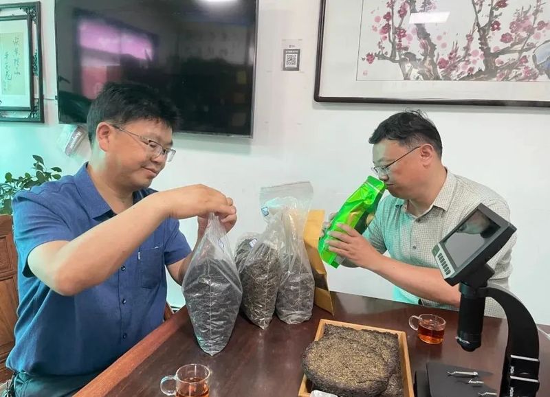 有关于平利县供销社组织考察“泾阳茯茶”产业的相关信息(11)