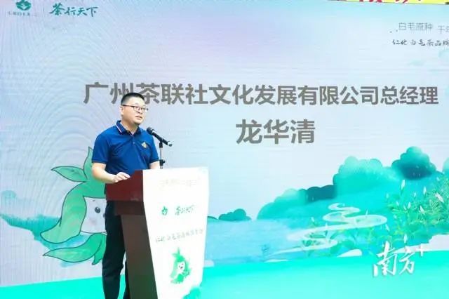 关于茶香如故，韵味绽放，仁化白毛茶品牌推介会在芳村茶业城正式启动的内容(12)