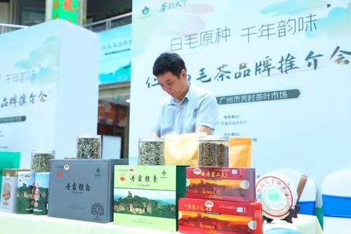 关于茶香如故，韵味绽放，仁化白毛茶品牌推介会在芳村茶业城正式启动的内容(15)