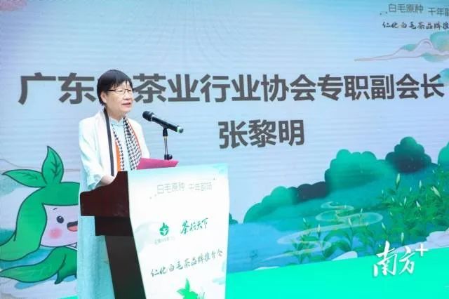 关于茶香如故，韵味绽放，仁化白毛茶品牌推介会在芳村茶业城正式启动的内容(4)