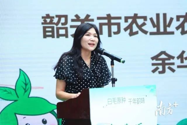 关于茶香如故，韵味绽放，仁化白毛茶品牌推介会在芳村茶业城正式启动的内容(5)