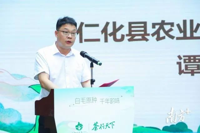 关于茶香如故，韵味绽放，仁化白毛茶品牌推介会在芳村茶业城正式启动的内容(6)