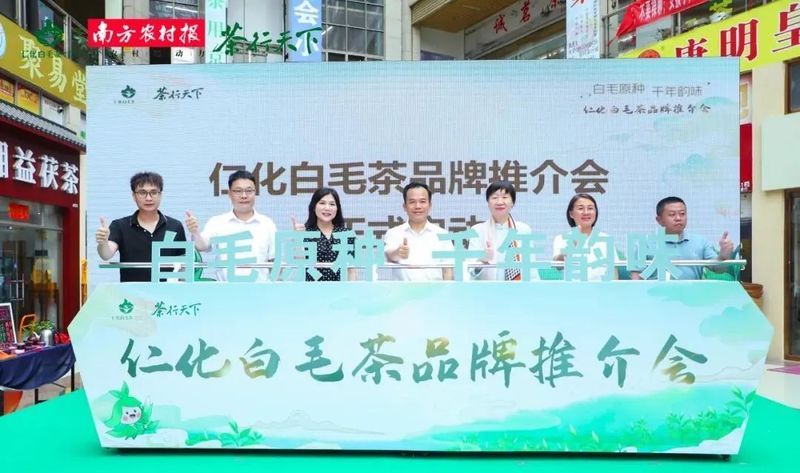 关于茶香如故，韵味绽放，仁化白毛茶品牌推介会在芳村茶业城正式启动的内容