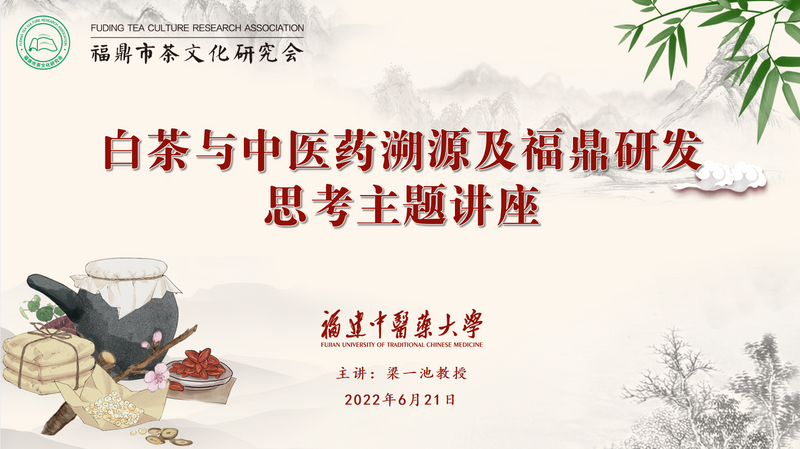 关于这场讲座深度追溯白茶源头及药效,快来学习一下吧!的相关内容