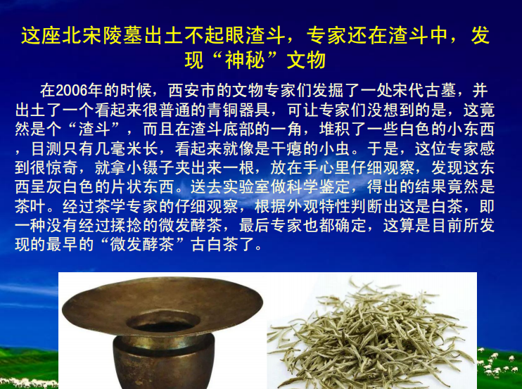 关于这场讲座深度追溯白茶源头及药效,快来学习一下吧!的相关内容(4)