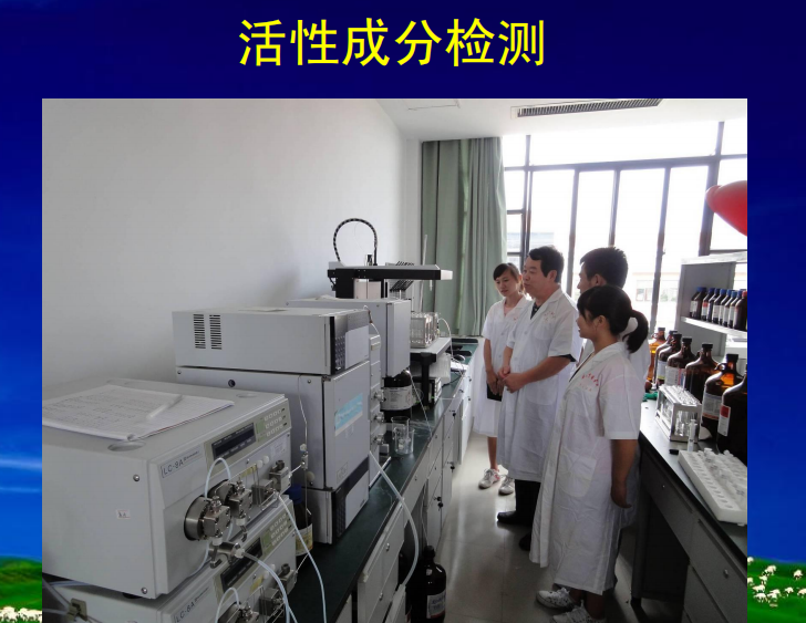 关于这场讲座深度追溯白茶源头及药效,快来学习一下吧!的相关内容(11)