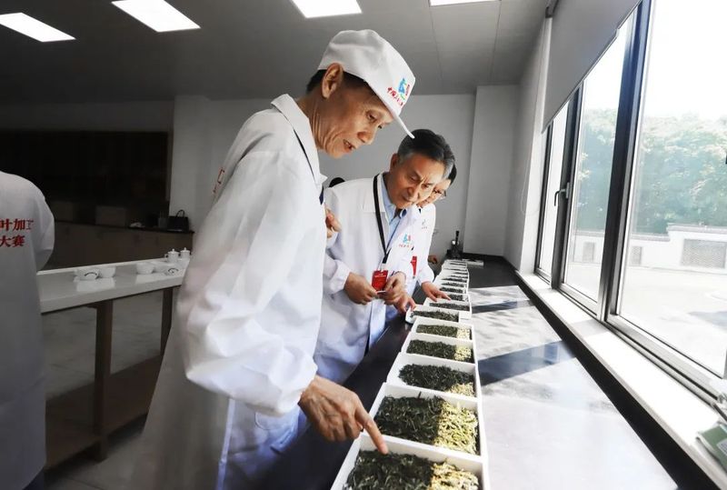 有关于高手云集!2022安徽省首届茶叶加工工职业技能大赛正式开赛!的信息(16)