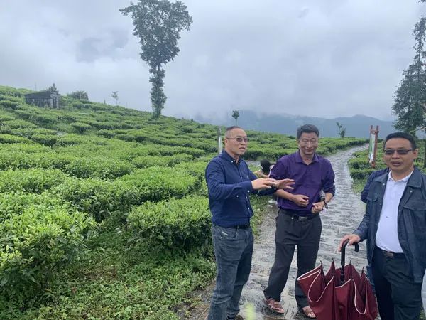 关于云南省农业科学院茶叶研究所所长何青元一行至梁河县调研指导茶产业发展的资讯