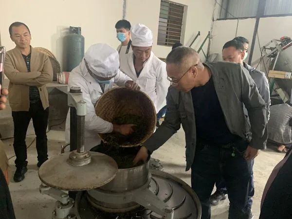关于云南省农业科学院茶叶研究所所长何青元一行至梁河县调研指导茶产业发展的资讯(2)
