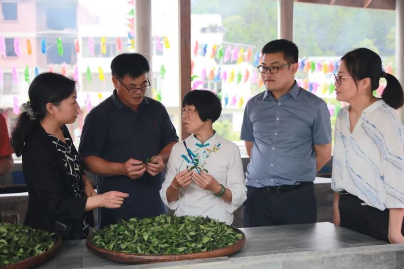 有关于“周末人才”计划——2022年梧州六堡茶产业高质量发展专家服务基层活动启动仪式举办的信息(7)