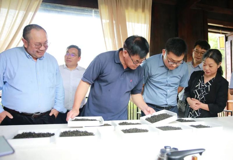 有关于“周末人才”计划——2022年梧州六堡茶产业高质量发展专家服务基层活动启动仪式举办的信息(9)