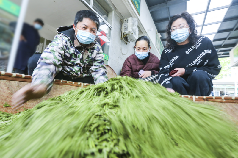 有关于 “挖掘鸠坑茶品牌价值、打造三茶统筹发展共富示范区”研讨会举行的资讯(16)