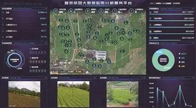有关于一周速读:茶叶出口榜单、2022现制茶饮发展报告、茶叶区域公用品牌“年轻化”的消息(8)