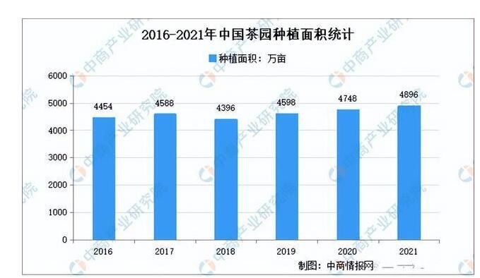 关于2022年中国茶产业链全景图上中下游市场及企业分析的相关内容(1)