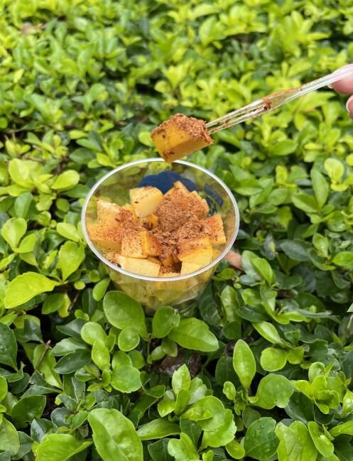 关于阳光大维领衔“云南味茶饮”新潮流,建立品牌护城河的信息(2)