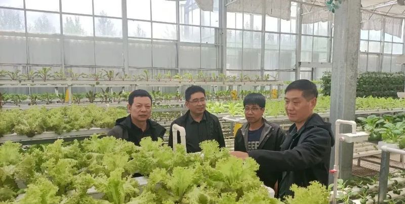 有关于“安康富硒茶”走进世界屋脊，实现安康富硒茶宣传推介全国省会城市全覆盖的相关信息(3)
