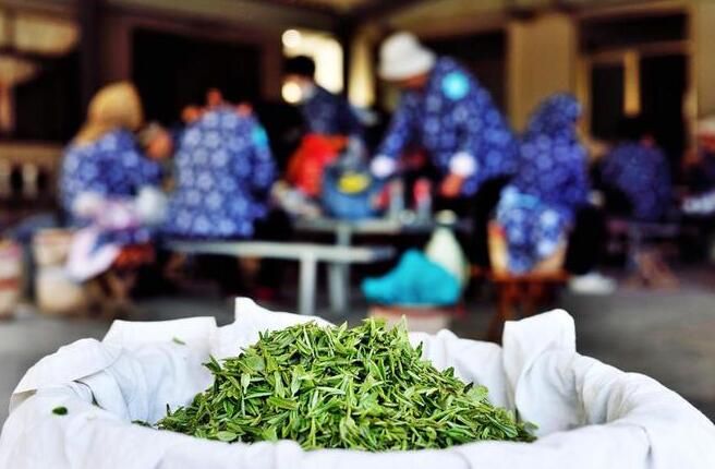 关于山东日照：茶产业助推乡村振兴的资讯(1)