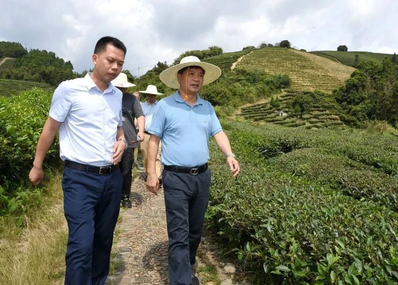 关于南平市人大调研建瓯市“三茶”统筹发展情况的最新消息(1)