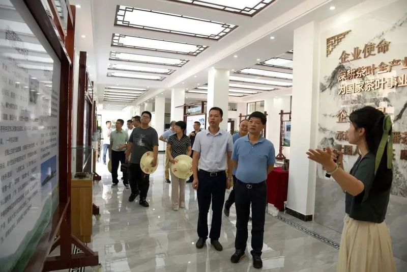 关于南平市人大调研建瓯市“三茶”统筹发展情况的最新消息