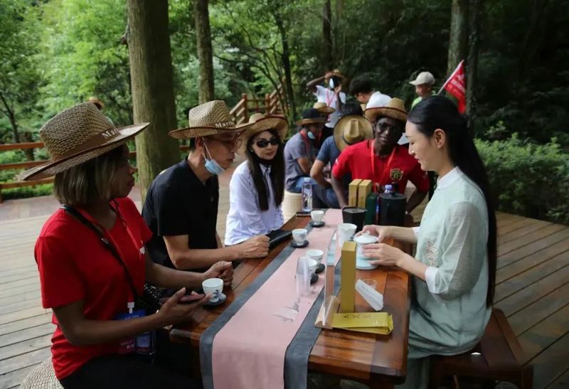 有关于向世界讲好“福茶”故事的相关信息(3)