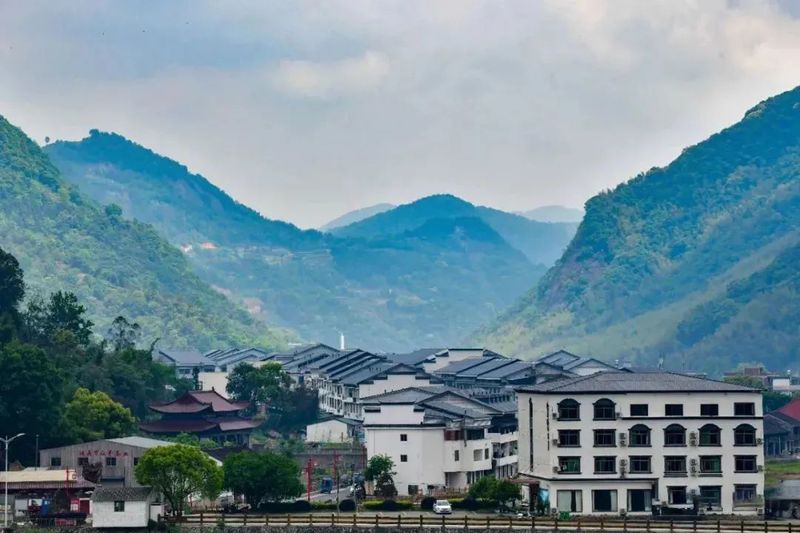 有关于向世界讲好“福茶”故事的相关信息(5)