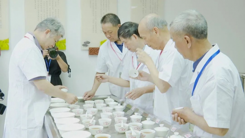 有关于福建云霄：第六届茶叶评选赛鸣锣开赛的相关内容(1)