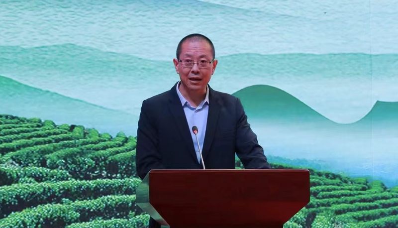有关于云南省第十九届茶叶加工工竞赛：展技能风采 铸工匠精神的内容(3)