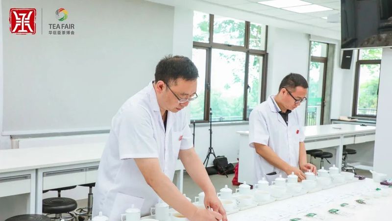 有关于茶王来了,“中茶杯”春季茶王赛揭晓!的内容(2)
