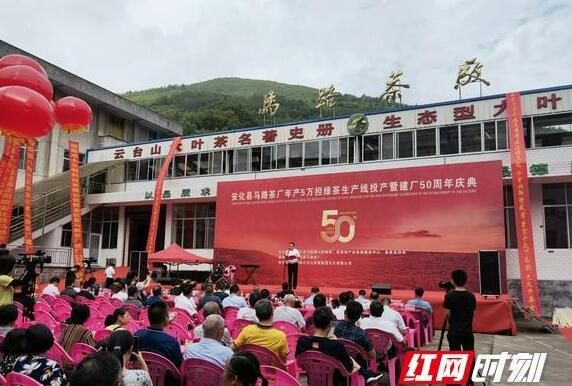 有关于安化马路镇:新年产5万担绿茶生产线投产的内容
