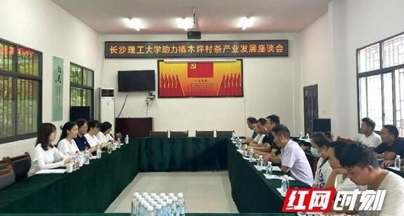 有关于长沙理工大学研究生实践团：助力椿木坪村茶产业发展的新闻(2)