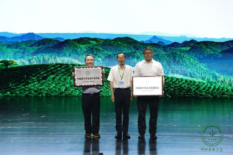 关于高举科技发展旗帜，透过2021中国茶业科技年会看“茶科技”未来的新闻(6)