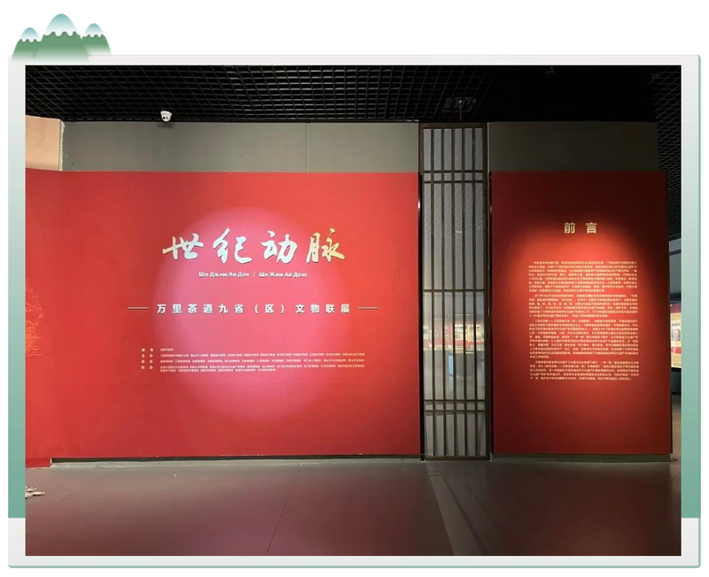 有关于在黄山重启！这个巡展带你从福建“走”到俄罗斯的相关信息(1)