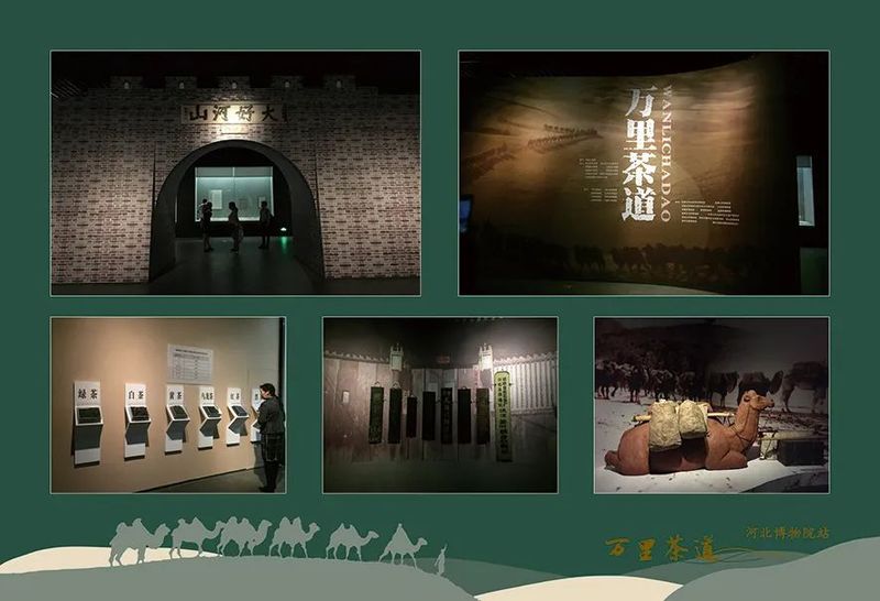 有关于在黄山重启！这个巡展带你从福建“走”到俄罗斯的相关信息(4)