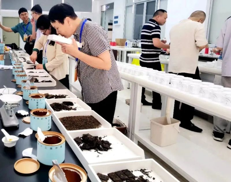 有关于第十三届中国海丝名师茶王争霸赛成功举办的最新消息(5)