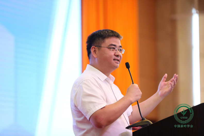 关于2021中国茶业科技年会，数字赋能茶产业发展——茶叶经济分会场精彩报告！的相关信息(7)