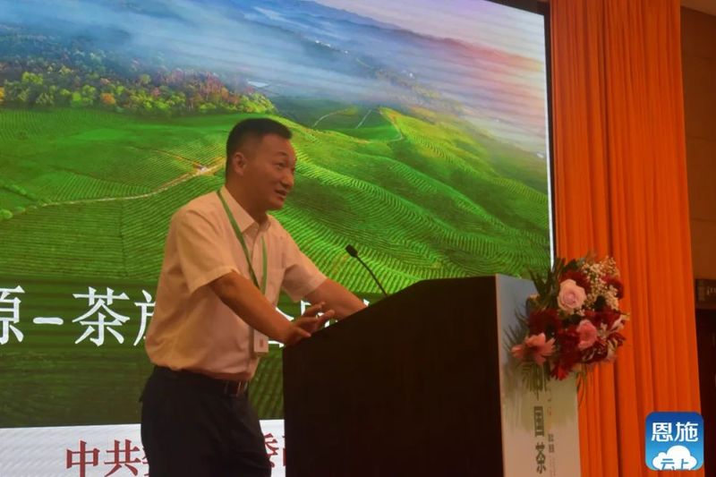 关于2021中国茶业科技年会，数字赋能茶产业发展——茶叶经济分会场精彩报告！的相关信息(11)